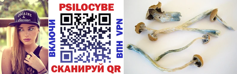 купить   Комсомольск  Псилоцибиновые грибы мухоморы 